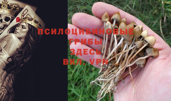 a pvp Баксан