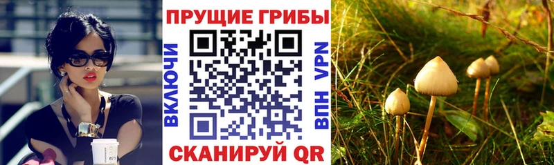 Галлюциногенные грибы Magic Shrooms  наркота  Бор 