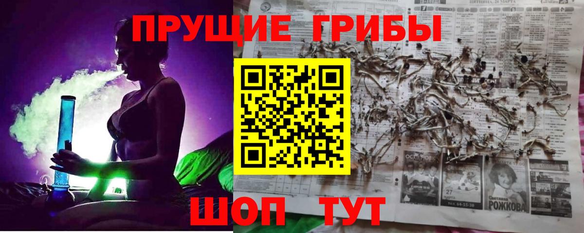 Псилоцибиновые грибы Cubensis Бор