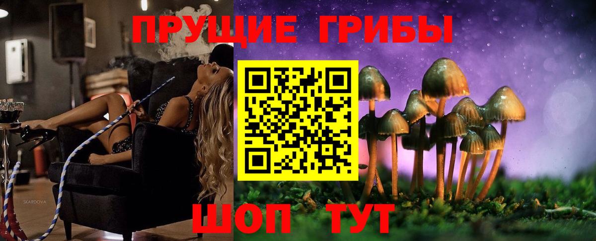 Бор  Псилоцибиновые грибы Cubensis  Вход с VPN 